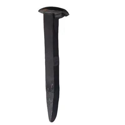 M16*165 Dog Track Track Spike